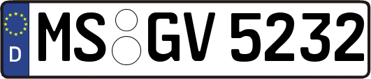 MS-GV5232