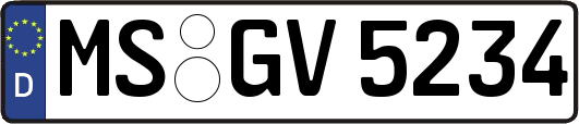 MS-GV5234