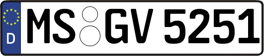 MS-GV5251