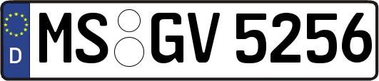 MS-GV5256
