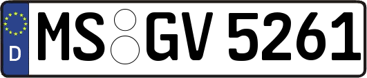 MS-GV5261