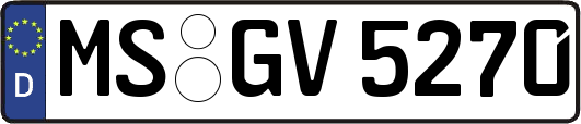 MS-GV5270