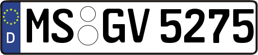 MS-GV5275