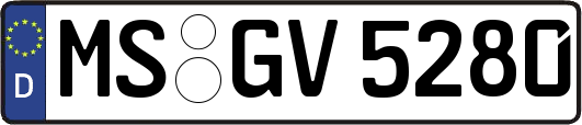 MS-GV5280