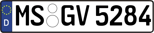 MS-GV5284