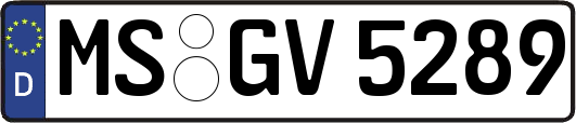 MS-GV5289