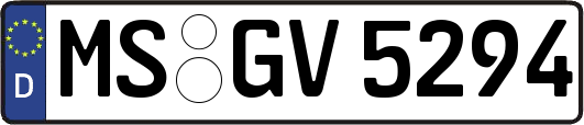 MS-GV5294