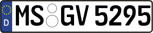 MS-GV5295