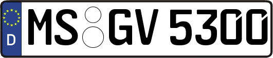 MS-GV5300