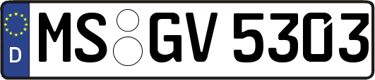 MS-GV5303
