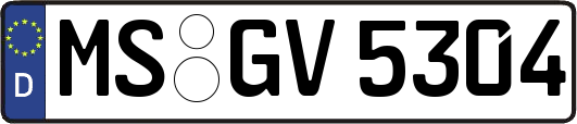 MS-GV5304