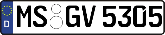 MS-GV5305