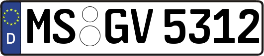 MS-GV5312