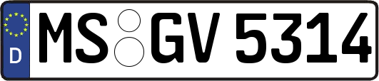 MS-GV5314