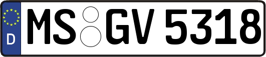 MS-GV5318