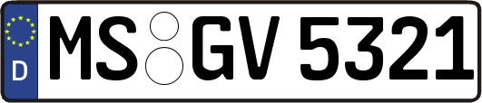 MS-GV5321