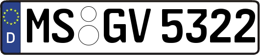 MS-GV5322