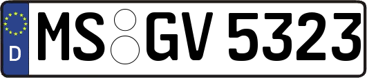 MS-GV5323