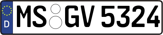 MS-GV5324