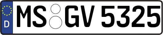 MS-GV5325