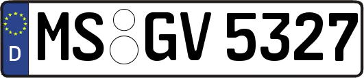 MS-GV5327