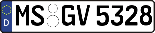 MS-GV5328