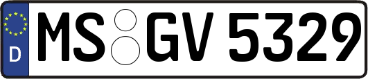 MS-GV5329