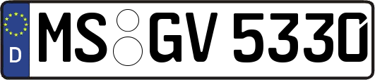 MS-GV5330