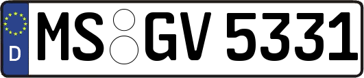 MS-GV5331