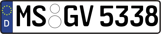 MS-GV5338
