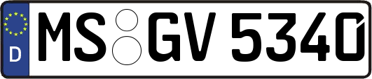 MS-GV5340