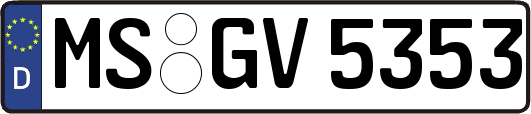 MS-GV5353