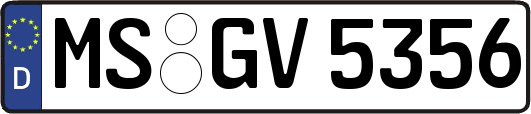 MS-GV5356