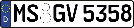 MS-GV5358