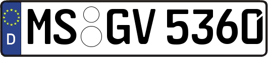 MS-GV5360