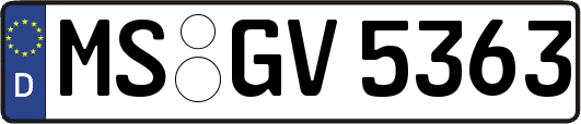 MS-GV5363