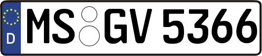 MS-GV5366