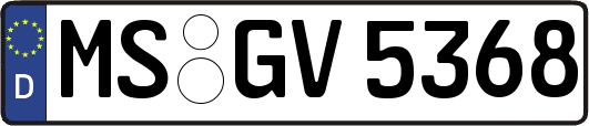 MS-GV5368