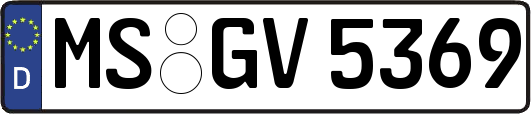 MS-GV5369