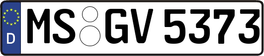 MS-GV5373