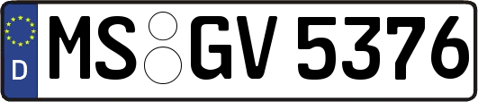 MS-GV5376