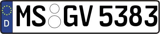 MS-GV5383