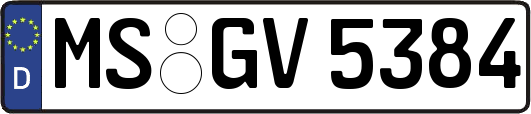 MS-GV5384