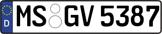 MS-GV5387