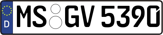 MS-GV5390