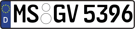 MS-GV5396