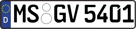MS-GV5401