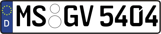 MS-GV5404