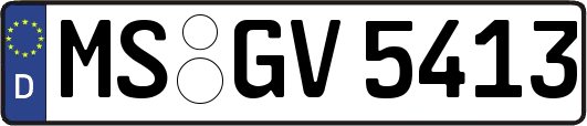 MS-GV5413