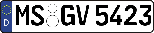 MS-GV5423